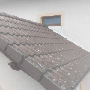 525995101_122185674290340839_3876379955450103269_n